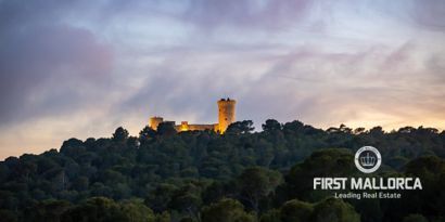 Real Estates picture 26 Ref. 76272