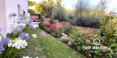 Real Estates picture 9 Ref. 81896