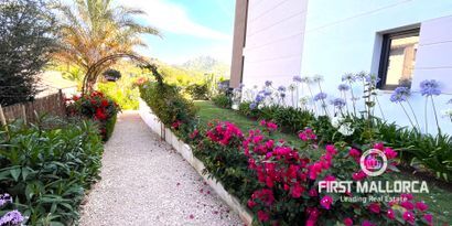 Real Estates picture 11 Ref. 81896