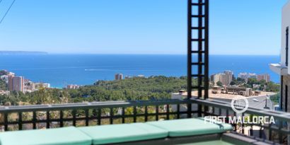 Real Estates picture 4 Ref. 77167