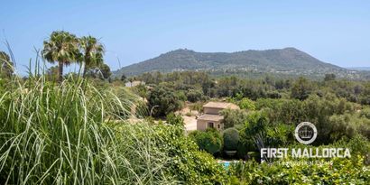 Real Estates picture 16 Ref. 81817