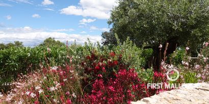 Immobilien picture 9 Ref. Nr. 81732