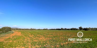 Real Estates picture 7 Ref. 78961