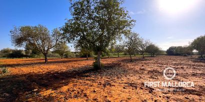 Real Estates picture 4 Ref. 78961