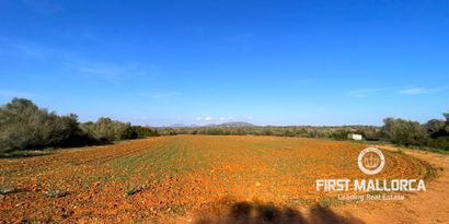 Real Estates picture 1 Ref. 78961