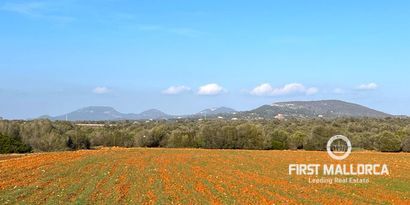 Real Estates picture 0 Ref. 78961