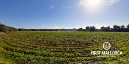 Real Estates picture 6 Ref. 78961