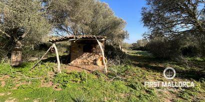 Real Estates picture 2 Ref. 78961