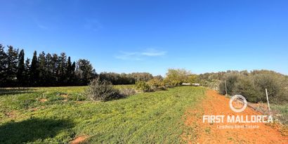 Real Estates picture 3 Ref. 78961