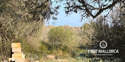 Real Estates picture 5 Ref. 78961