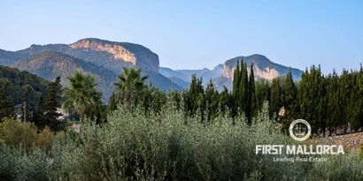 Real Estates picture 23 Ref. 81768