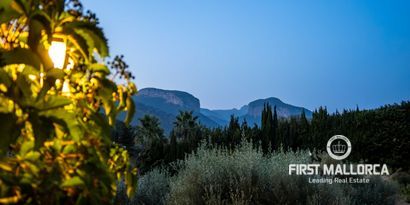 Real Estates picture 25 Ref. 81768