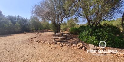 Real Estates picture 19 Ref. Nr. R7664