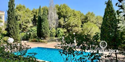 Real Estates picture 25 Ref. Nr. 81897