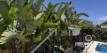 Inmobiliaria picture 20 Ref. Nº. 81924
