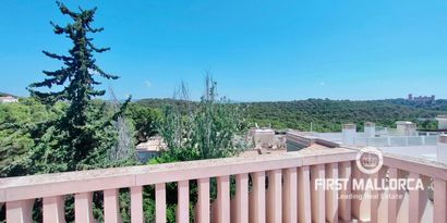 Real Estates picture 21 Ref. Nr. 81897