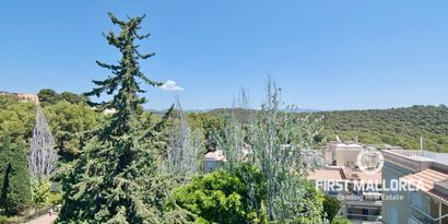 Real Estates picture 26 Ref. Nr. 81897