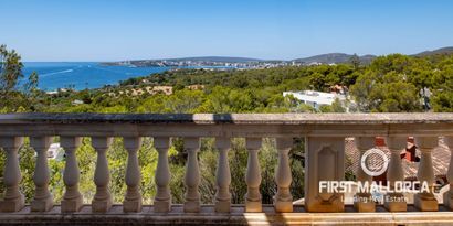 Real Estates picture 0 Ref. 81935