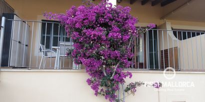 Real Estates picture 5 Ref. Nr. 81977