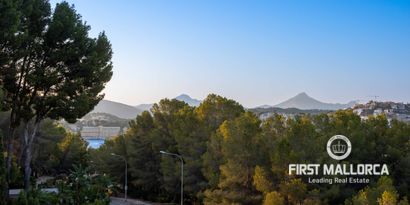 Inmobiliaria picture 43 Ref. Nº. 75328