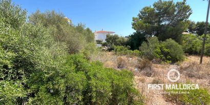 Real Estates picture 1 Ref. 81772