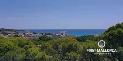 Real Estates picture 1 Ref. 81235