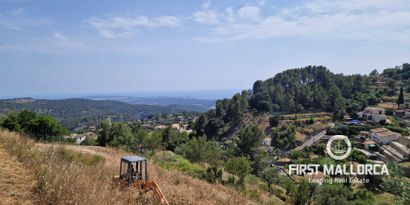 Immobilien picture 6 Ref. Nr. 81816