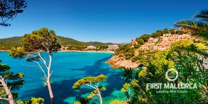 Real Estates picture 9 Ref. 82027