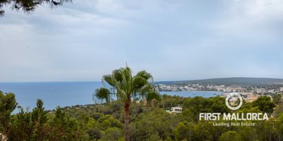 Immobilien picture 22 Ref. Nr. 78140