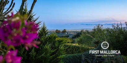 Real Estates picture 5 Ref. Nr. 81750