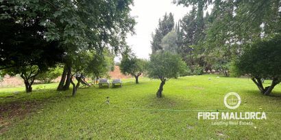 Real Estates picture 2 Ref. R28004