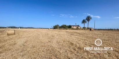 Inmobiliaria picture 3 Ref. Nº. 82118