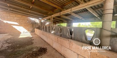 Inmobiliaria picture 9 Ref. Nº. 82118