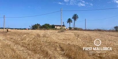 Inmobiliaria picture 6 Ref. Nº. 82118