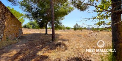 Immobilien picture 1 Ref. Nr. 82109