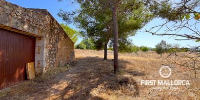 Immobilien picture 3 Ref. Nr. 82109