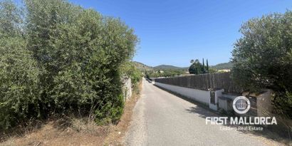 Real Estates picture 2 Ref. 81934