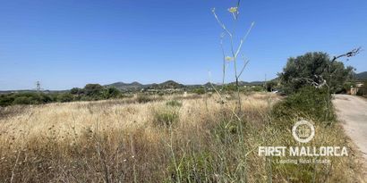 Real Estates picture 4 Ref. 81934