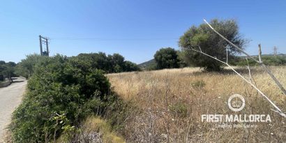 Real Estates picture 5 Ref. 81934