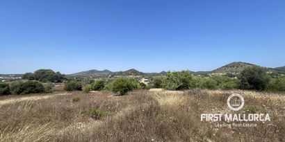 Real Estates picture 1 Ref. 81934