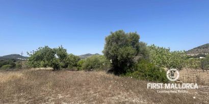 Real Estates picture 3 Ref. 81934