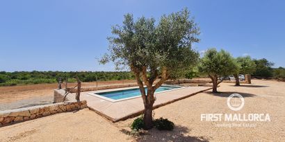 Real Estates picture 3 Ref. R28128