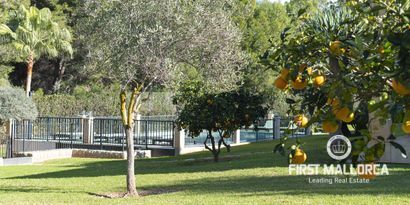 Real Estates picture 26 Ref. Nr. R27878