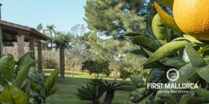 Real Estates picture 23 Ref. Nr. R27878