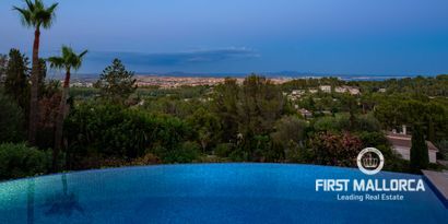 Inmobiliaria picture 8 Ref. Nº. 81908