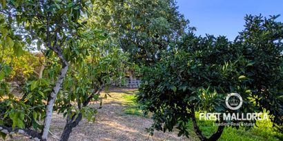 Real Estates picture 5 Ref. R28138