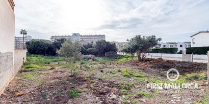 Real Estates picture 6 Ref. 80678