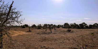 Real Estates picture 4 Ref. 82251