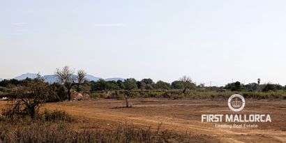 Real Estates picture 2 Ref. 82251