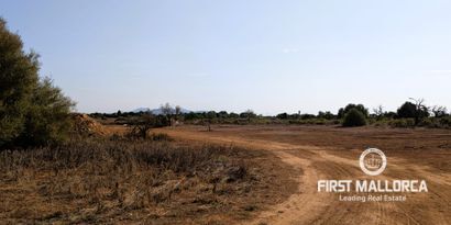 Real Estates picture 3 Ref. 82251